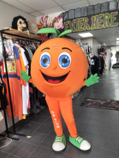 Orange Fruit Mascot